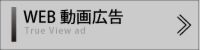 WEB動画広告